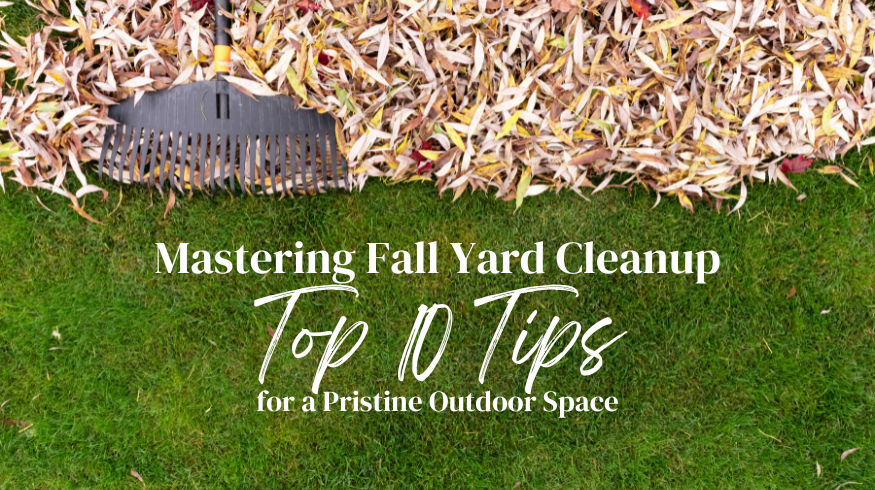 Mastering Fall Yard Cleanup: Top 10 Tips for a Pristine Outdoor Space