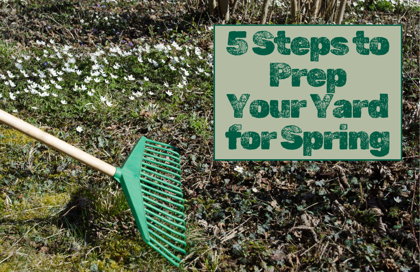 5 Steps to Prep Your Yard for Spring