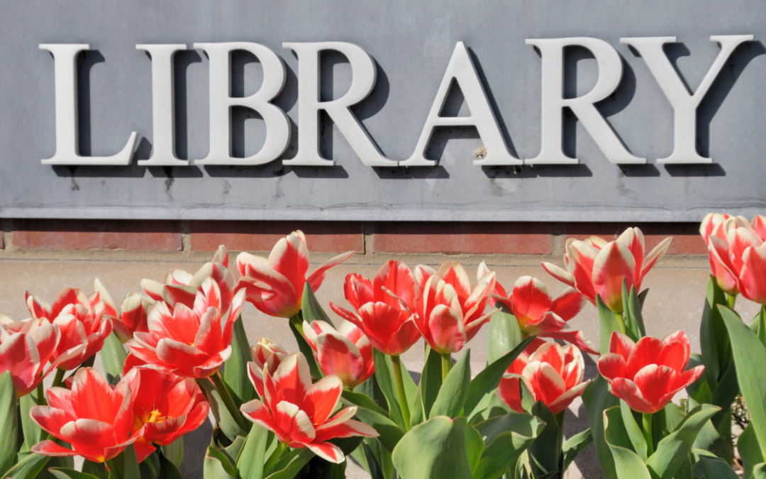 What to Do This Weekend in Aurora, IL: Visit the Aurora Public Library